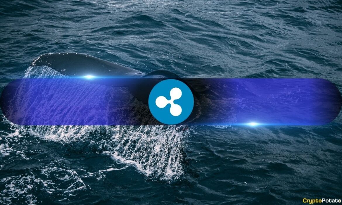 Ripple whale.jpg
