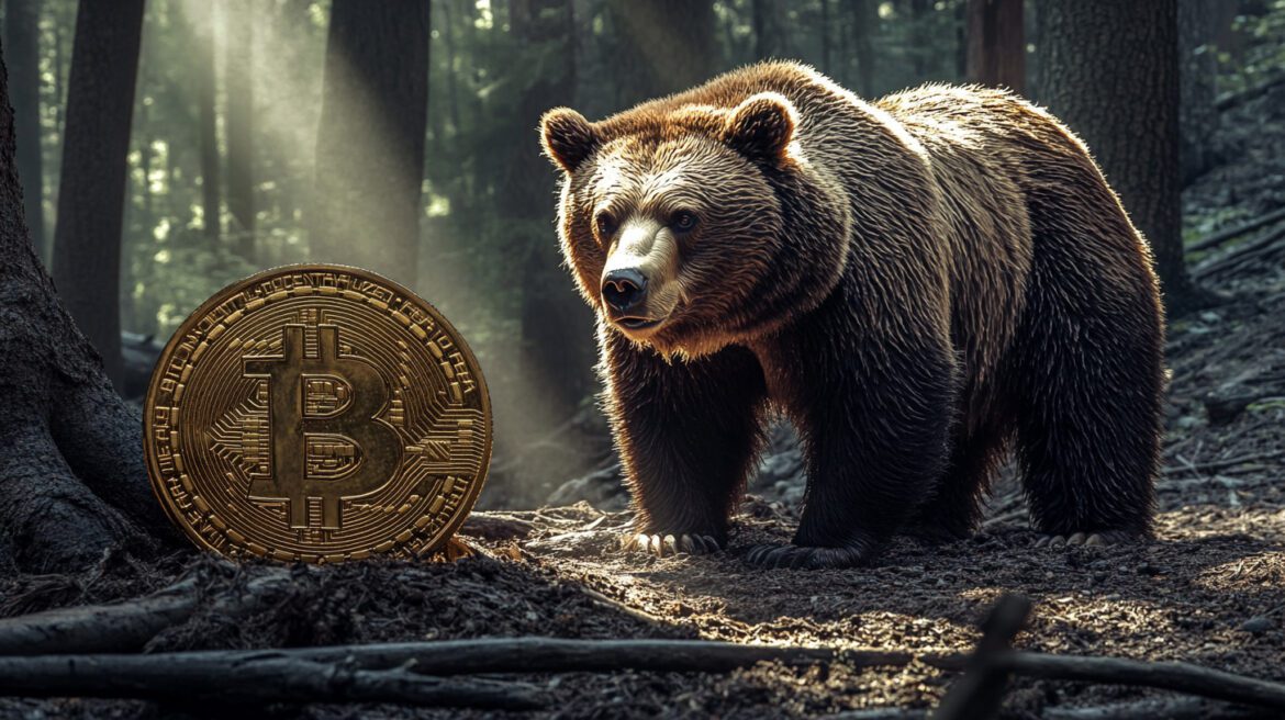 Bitcoin Bear.jpg