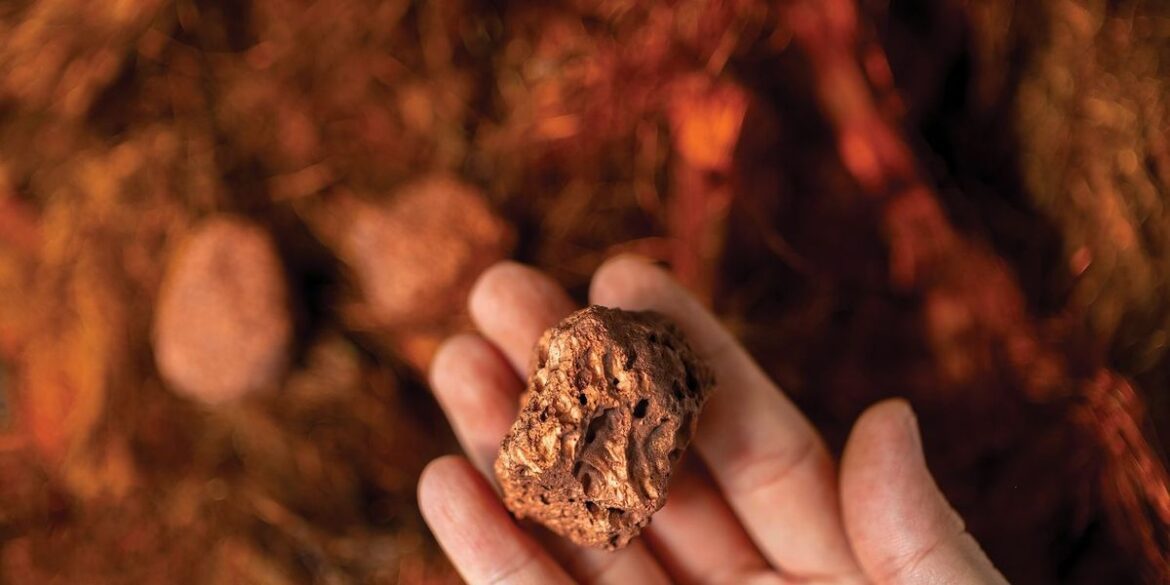 Hand holding a textured rock with a blurred earthy background.jpg