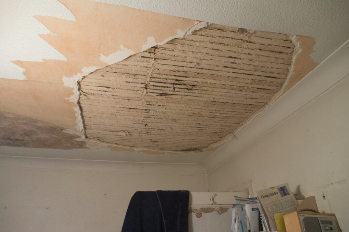 Mixcollage 24 jun 2025 03 25 pm 8787.jpg