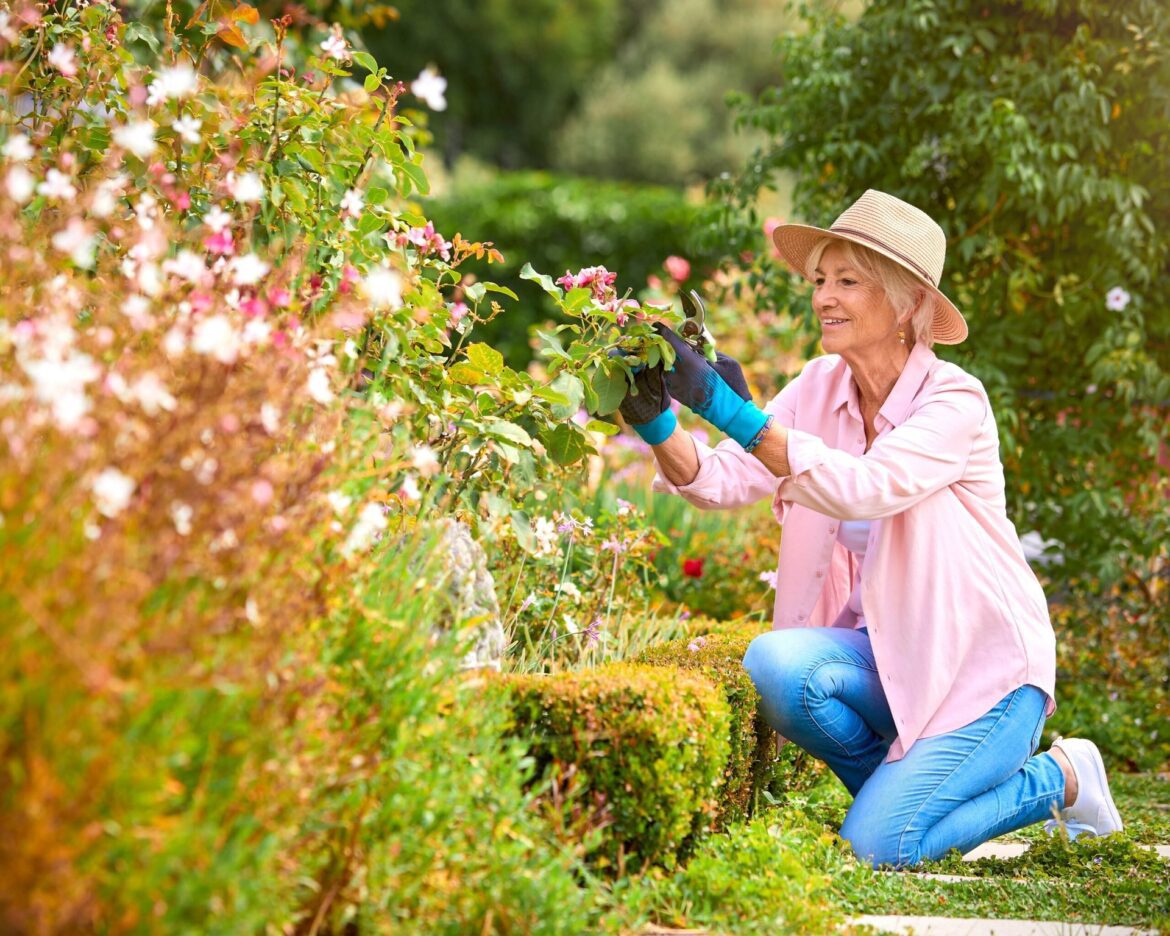 Retired woman gardening shutterstock 2461260671 monkey business images scaled.jpg
