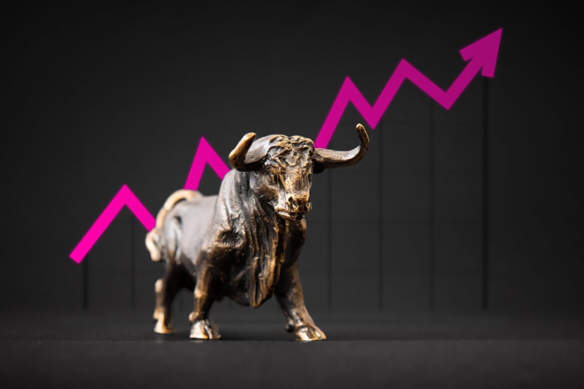 Sp 500 bull shutterstock 1922401277 kaspars grinvalds scaled.jpg