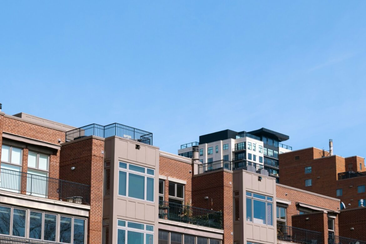 Mixcollage 01 aug 2025 02 12 pm 2582.jpg