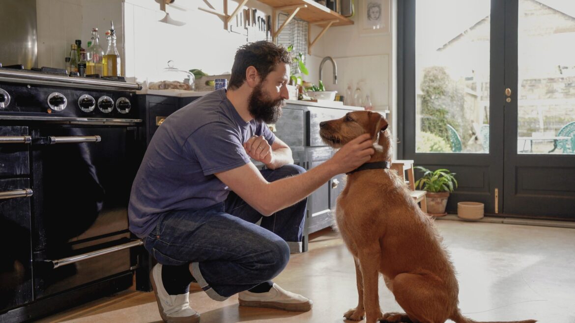 25e1206eadcb3410c4afc77265942c25w c219965119srd q80.jpg