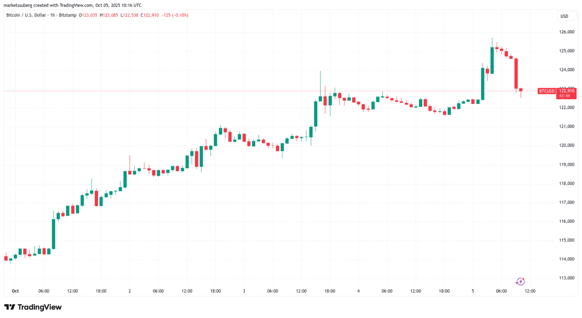 0199b3df 5aee 7b32 8ef7 cb11a02de2e4.png