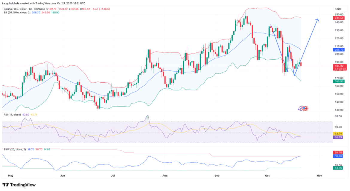 019a06a4 8734 75db a15b 20d8699710ea.png