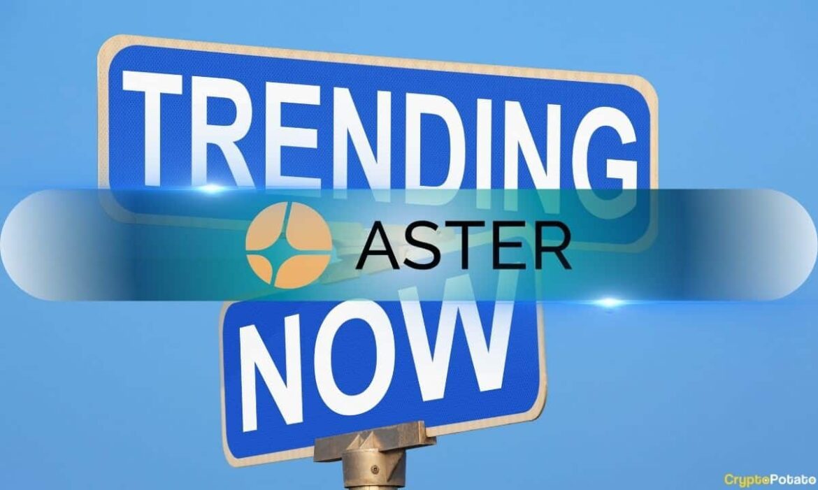 Aster.jpg