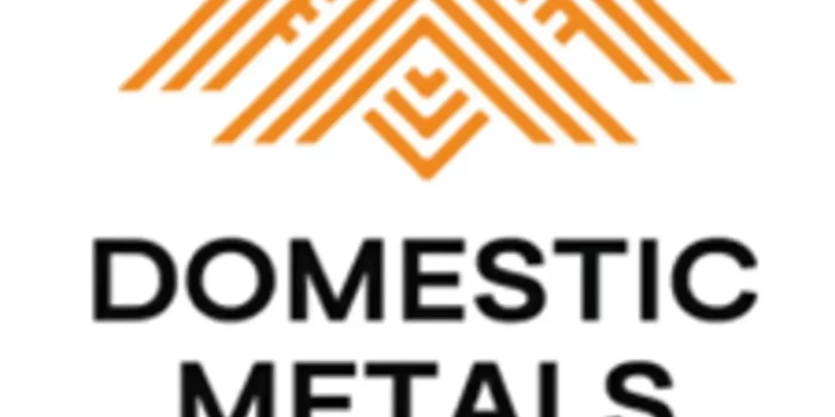 Domestic metals tsxv dmc.webp.webp