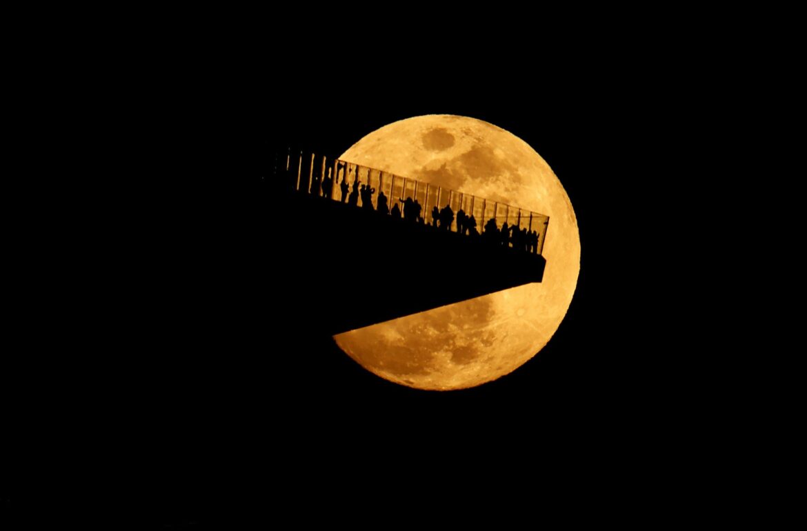 4c3ff6ef537c9b568c9d2caaec0c3649w c206298436srd q80.jpg