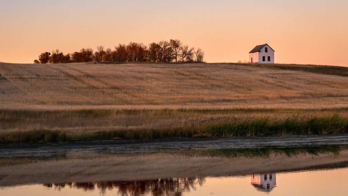 82ce987d78ce99b660b288535beb0019w c2127620682srd q80.jpg