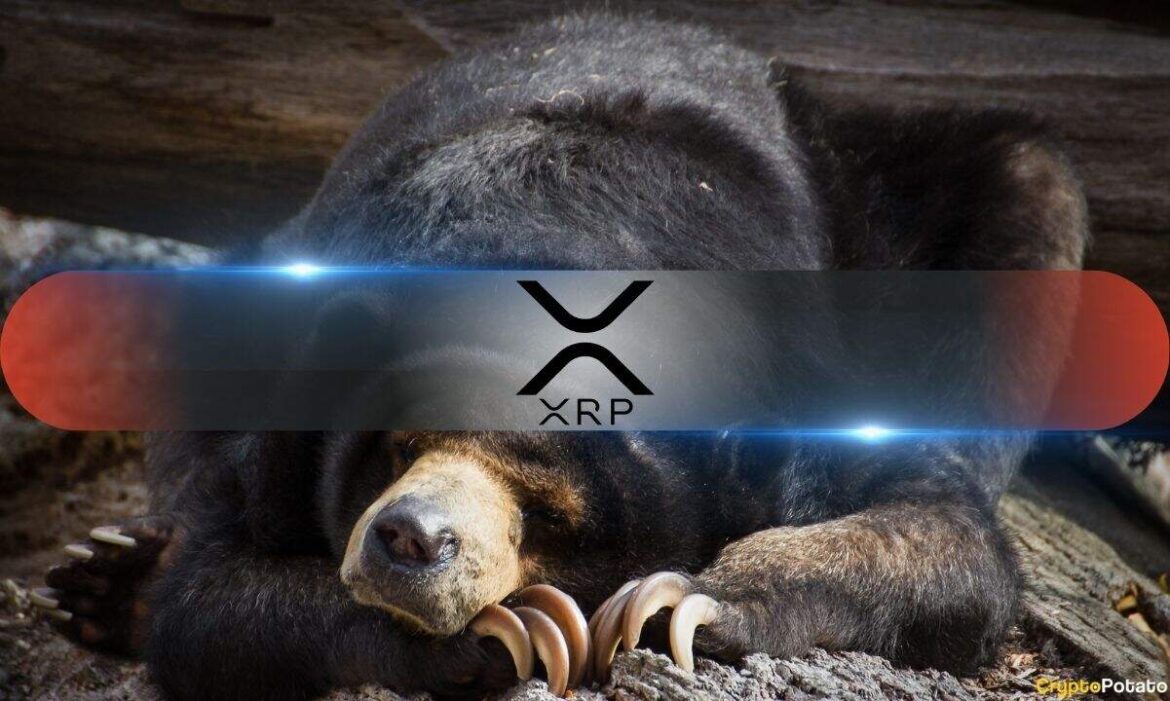 RIppleXRP Bear.jpg