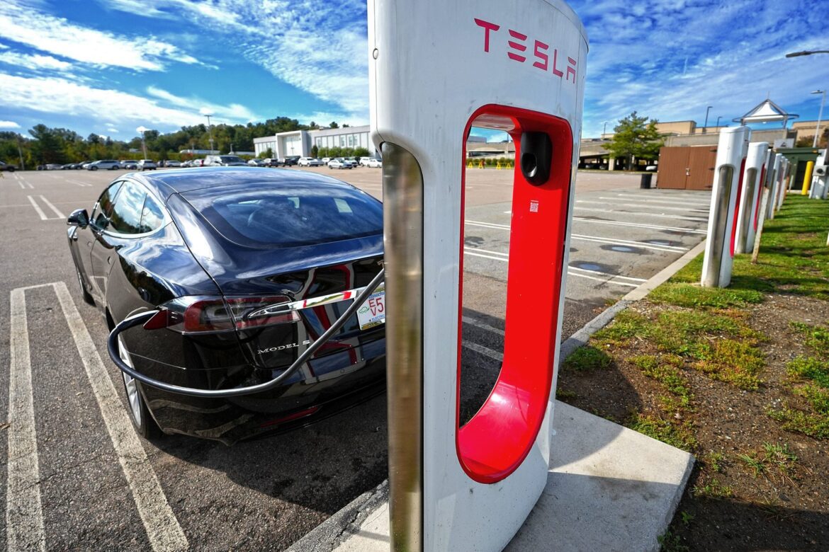 Feed image 1775299568 scaled.jpg