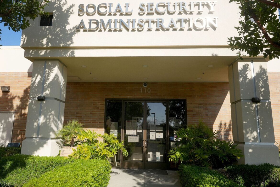 Feed image 1775985130 scaled.jpg