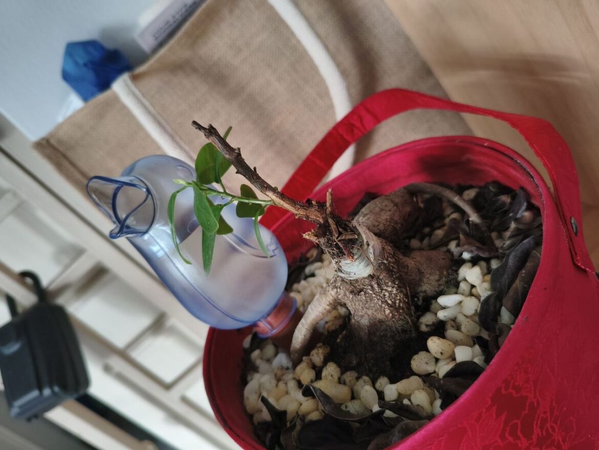 Photo 2026 04 26 10 09 47.jpg