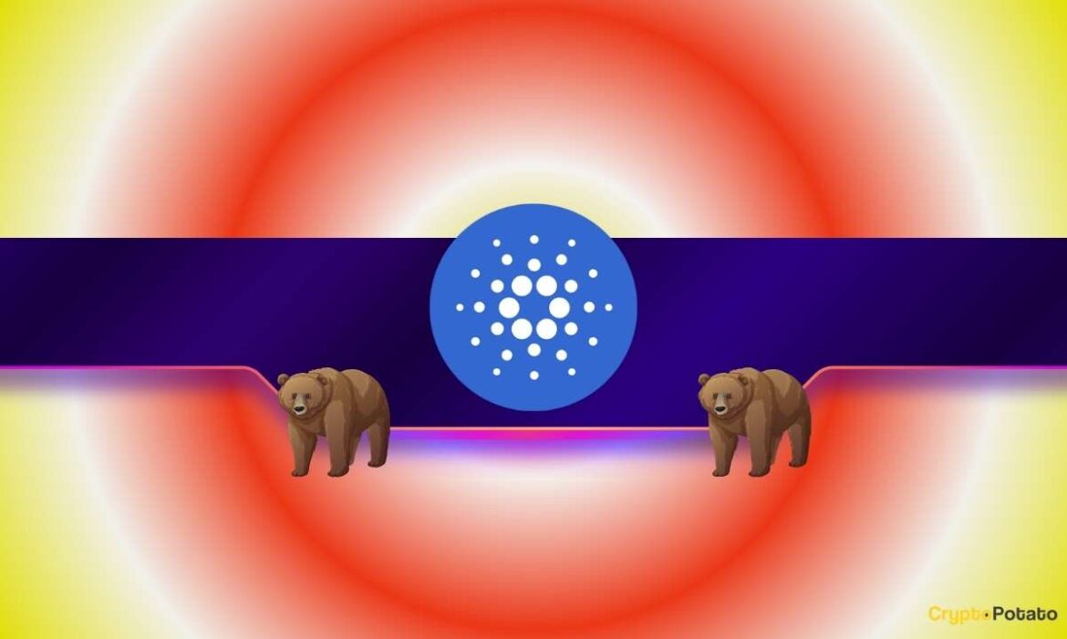 ADA CB 10.jpg