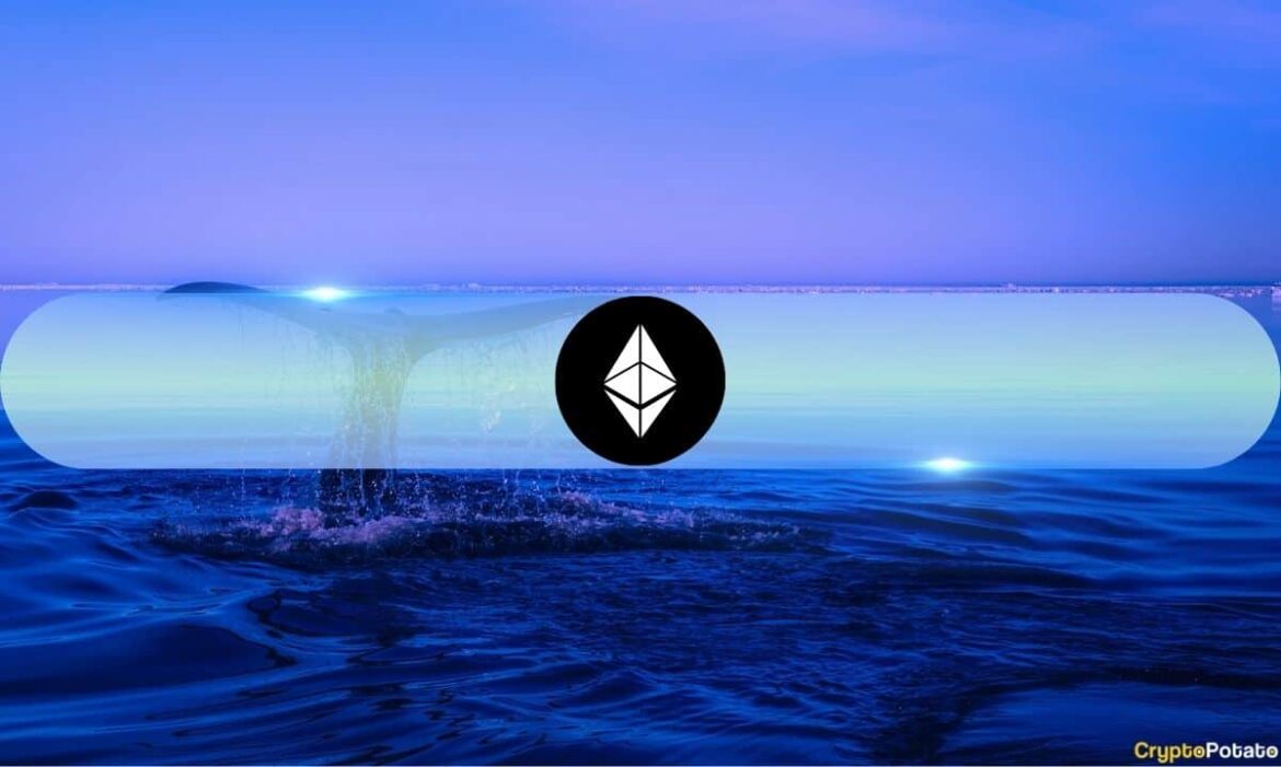 Ethereum Whale.jpg
