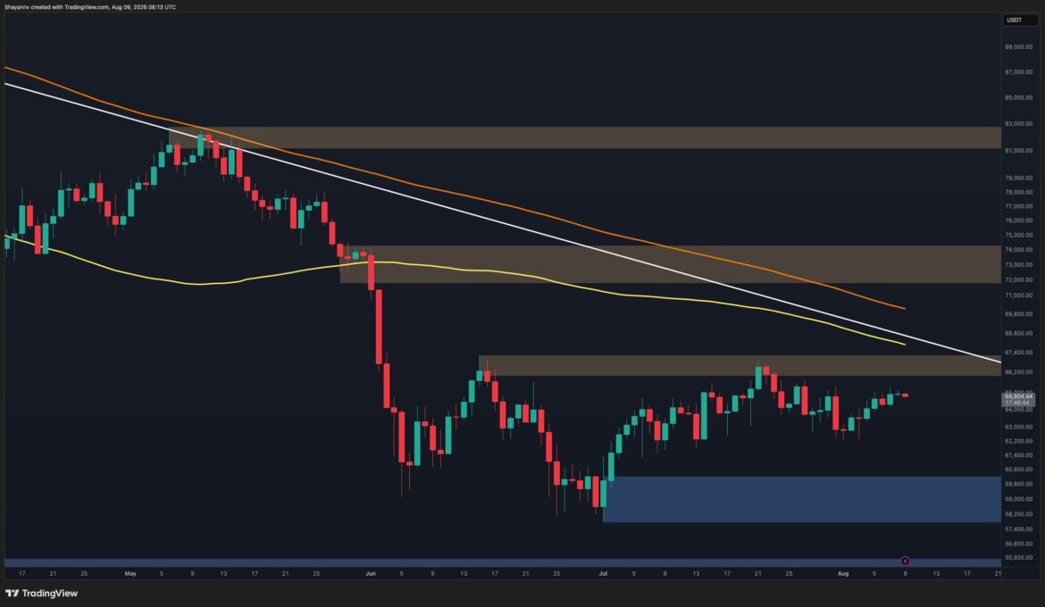 BTC D 3.jpg