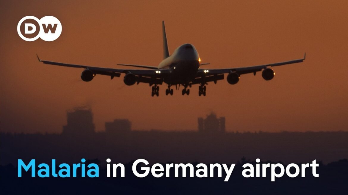 3 people drop dead on an airplane in Germany as medical experts blame 1 killer mosquito 1227309 8c6c.jpeg